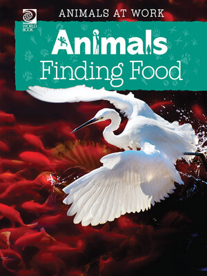 cover image of Animals Finding Food